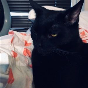 Meet your Posher, Mel